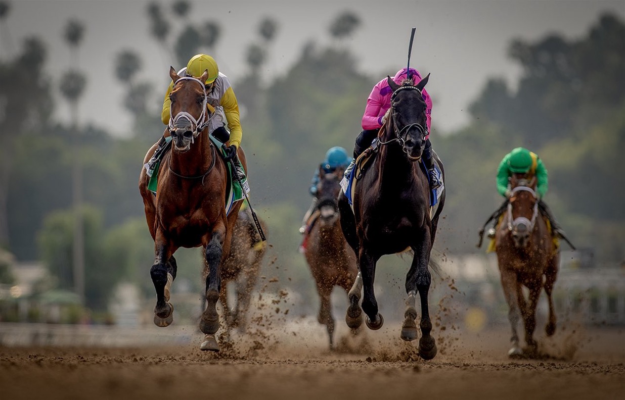 Midnight Mammoth battling down the Santa Anita stretch
