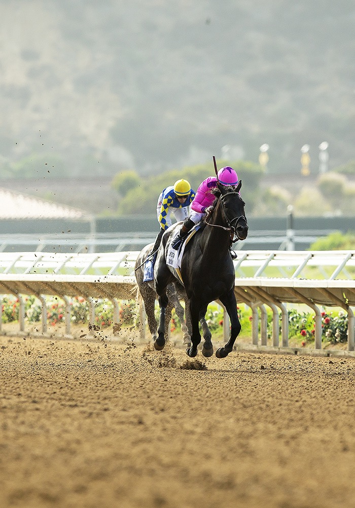 Midnight Mammoth and Armando Ayuso drawing clear at Santa Anita