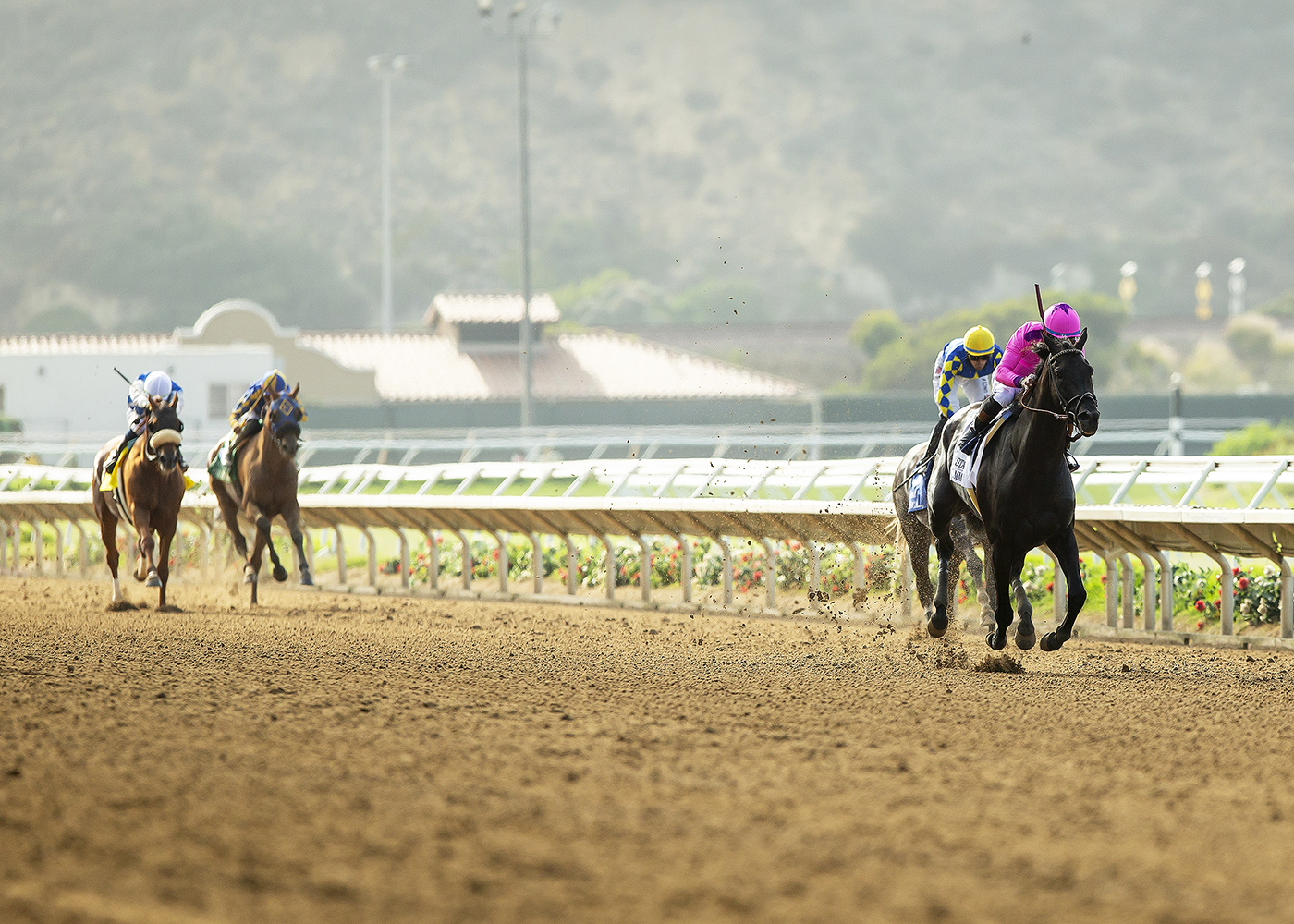 Midnight Mammoth racing clear down the stretch